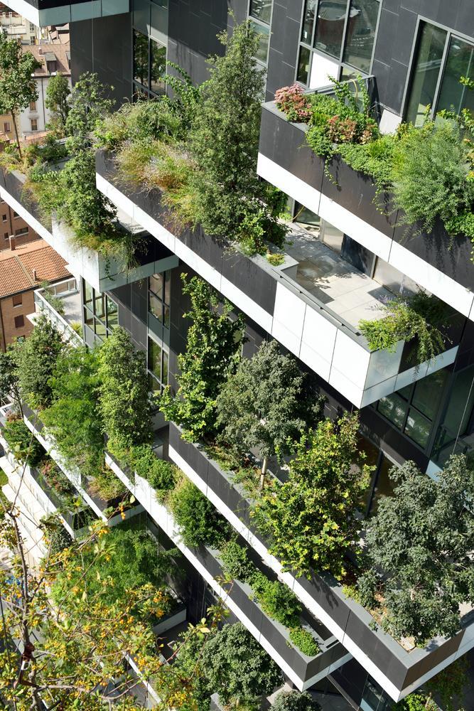 Bosco verticale: Foto 3